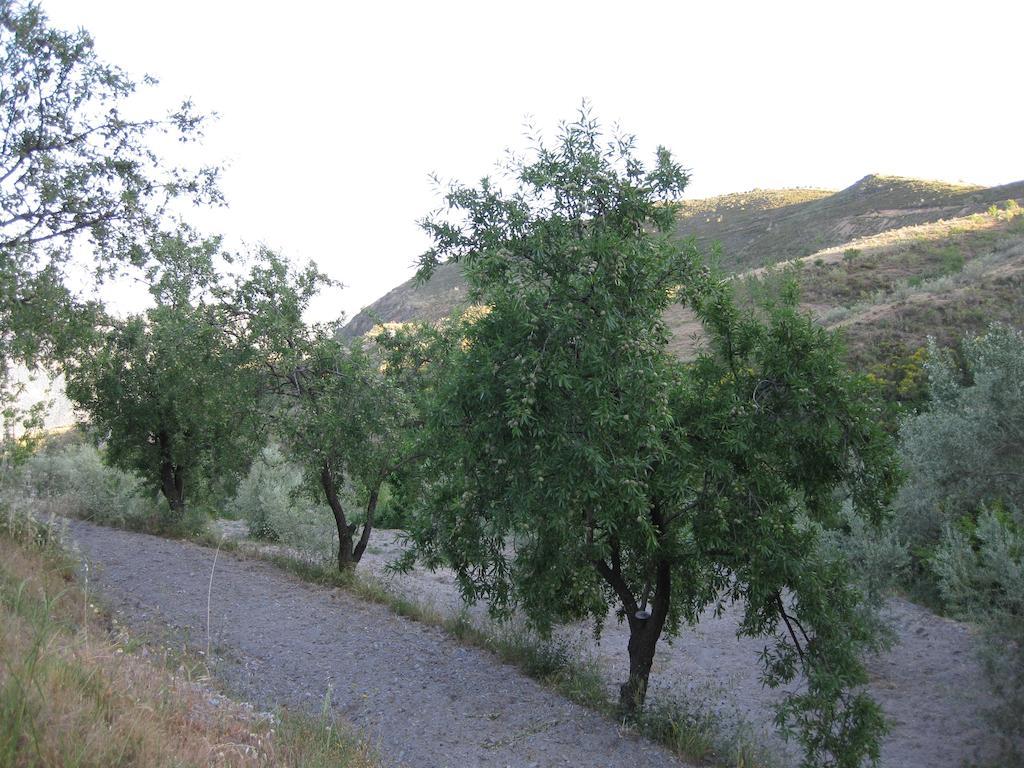 Bancal de Los Pérez Carataunas Extérieur photo