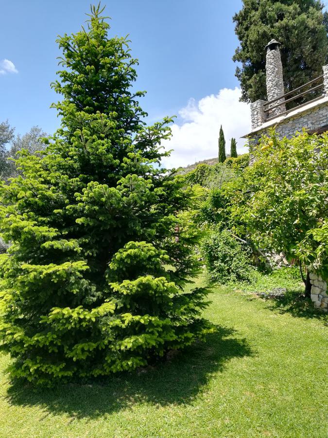 Bancal de Los Pérez Carataunas Extérieur photo